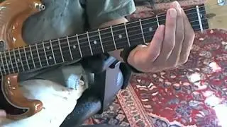 Pink Floyd - Fearless - Lesson 2 of 2