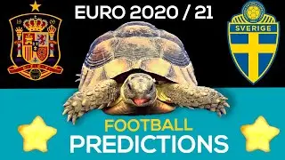 UEFA Euro 2020 ⚽ Football Prediction 2021 ⚽ Spain vs Sweden 🐢