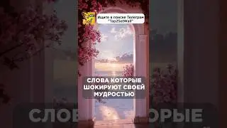 Слова которые шокируют соей мудростью #мудрость #цитаты