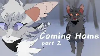 Coming Home | Warriors MAP [ 2 ]