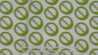 La longue et incroyable histoire d'un comprimé