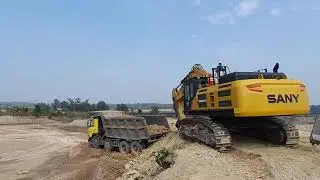 sany sy 800hd in action