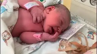 Маленький комочек только родился