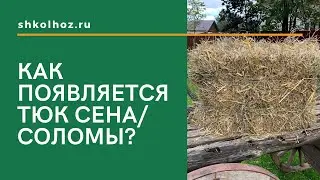 Как появляется тюк сена/соломы? | SHKOLHOZ.RU