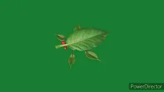 Pikmin 4 OST - Skitter Leaf (VARIANT)