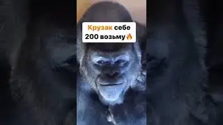 13 декабря 2023 г.