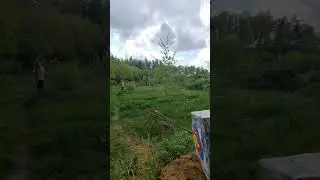 Стрельба из лука #стрельбаизлука