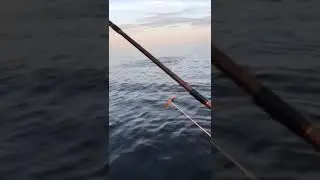 Рыбалка на Ильмене