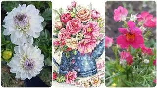 Цветы, цветы, везде цветы)) Любимые увлечения.