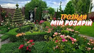 Мої троянди, сорти. Прогулянка садом.  Розарій