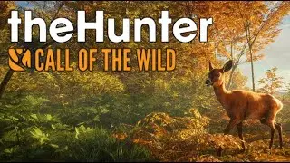 Playing Hunter Call Of The Wild