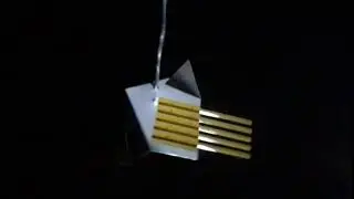 IMG 3931