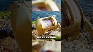 САМОДЕЛЬНАЯ УДОЧКА УДЕЛАЛА ДОРОГИЕ СНАСТИ 😱🎣