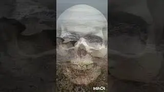 ВЫБРОСИТЬ ТЕЛО УМЕРШЕГО#shorts  #история