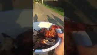 Кормим бездомных собак🐕🐩