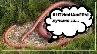 Фнаферское дно #6: Livrale