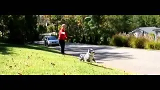 Nikon V1 HVGA / 400fps / MPEG-4 AVC / H.264 slow-motion sample video