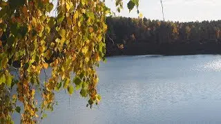 ансамбль 