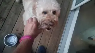 Leo's 6th Birthday!