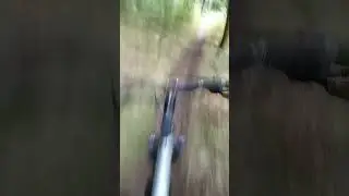 clent hills trails.