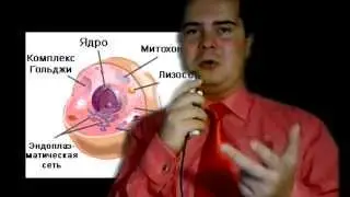ЦИТОПЛАЗМА
