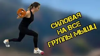 Силовая тренировка на все группы мышц | You Fitness Star