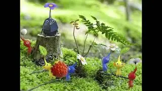 orima