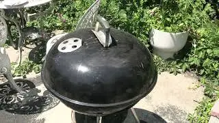 bbq HotDogs