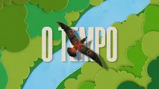 The Nature Conservancy - O Tempo
