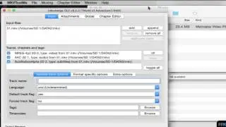 Extract .ASS Subtitles from MKV file Free on Mac