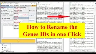 How to Rename your Genes Name of Protein sequences in one click 