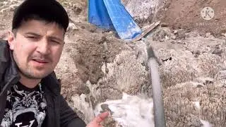 Кухи намак