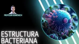 ESTRUCTURA BACTERIANA en 5 min