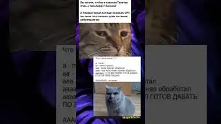 #мемы #мем #мемчики #mem
