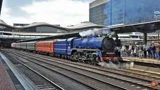 Steamrail - Rail and Sail | R711