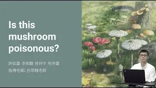 許紘嘉 || 這個蘑菇是有毒的嗎? || 2023/07/30 ||