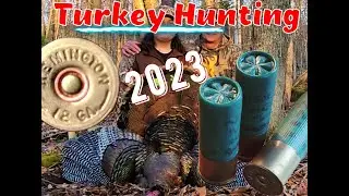 2023 WILD TURKEY HUNT! 🦃💥 (Big Tom Down) Barronett Ox 5 Hub Blind #turkey #hunting #longbeard  #2023