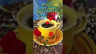 13 июня 2024 г.