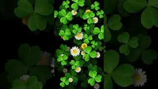 Summer clover fresh eye protection