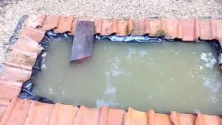 Comment faire un bassin pour canard