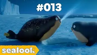 All of #013ㅣ🎤Choco Seal Nailed All the Stage!ㅣSEALOOK Compilation