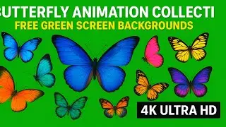 Butterfly Green Screen Pack | 4K Ultra HD Animated Backgrounds | Free VFX Collection