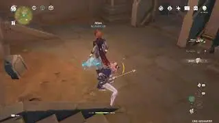 Genshin pvp