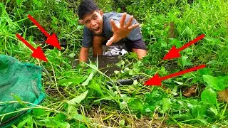 MENEMUKAN GENANGAN AIR PENASARAN IKAN DISINI
