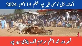 Muhammad Aslam Marhoom of Pindi Saidpur | Bull Race Shairpur 13-10-2024