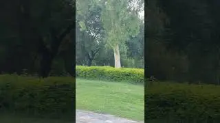 Beautiful Islamabad #youtube #youtubeshorts #ytshorts