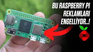 Reklamlara Her Yerde Elveda: Pi-hole + PiVPN Rehberi (2024)
