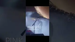 Pink Floyd - David Gilmour - @davidgilmour @pinkfloyd #guitarist