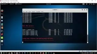 How to use DNSenum in Kali Linux