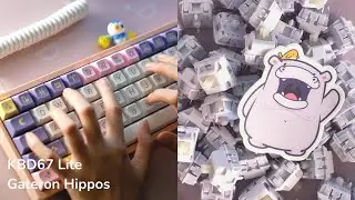 Gateron Hippos (Stock vs Lubed) on KBD67 Lite Typing Sound Test